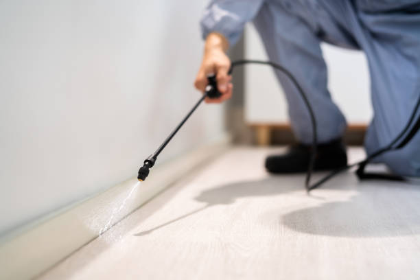 Licensed Pest Control service in Erath, LA - Show Me Pest Control