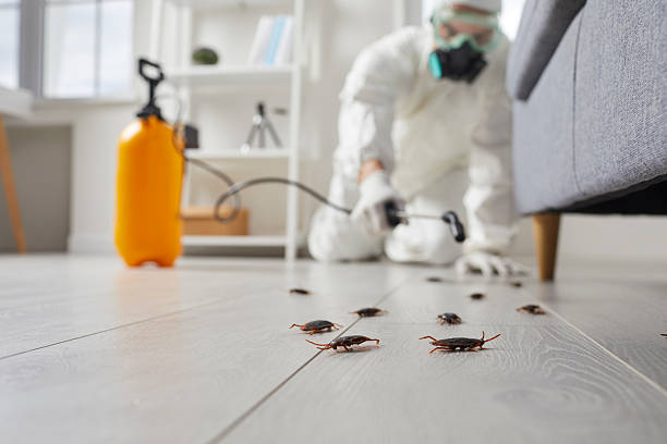 Post-Treatment Bed Bug Interceptor Monitoring in Erath