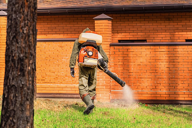 Bed Bug Clearance Verification and Documentation in Erath